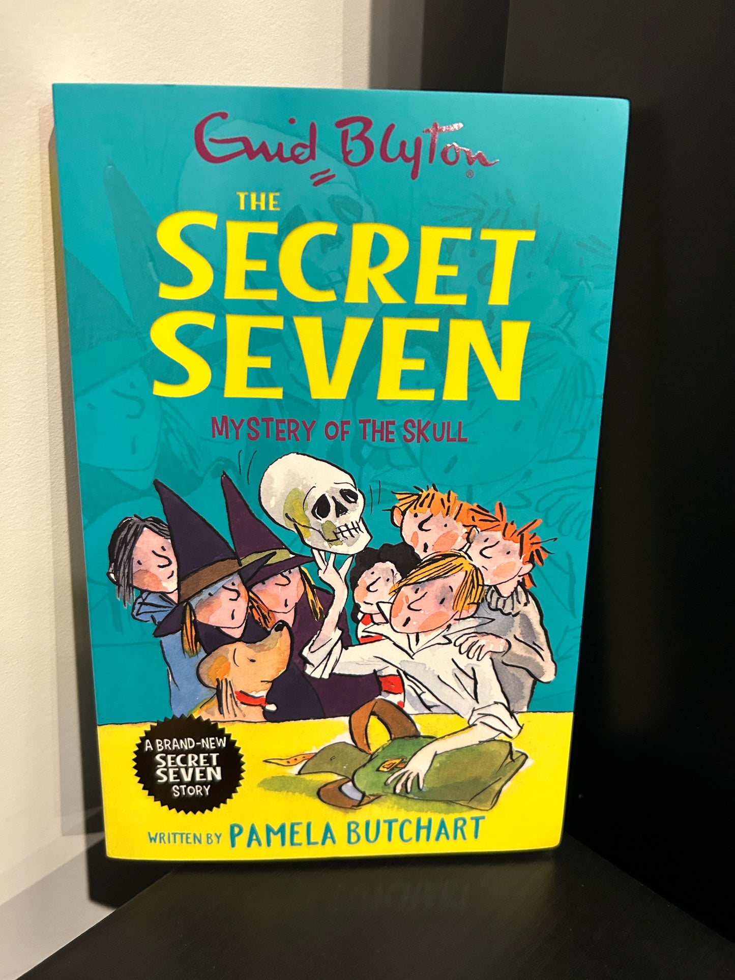 The Secret Seven: Mystery of the Skull