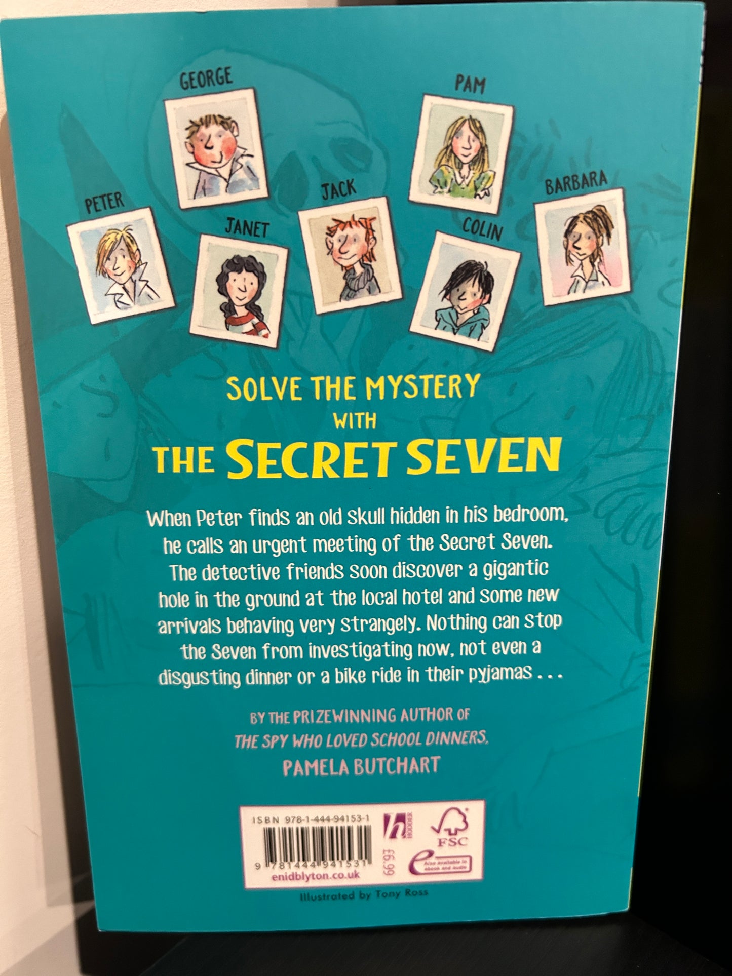 The Secret Seven: Mystery of the Skull